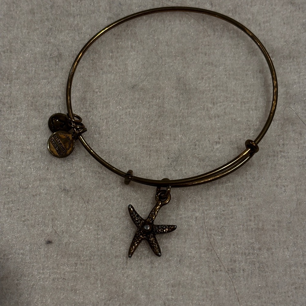 Alex and ani bangle bracelet